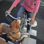 Brunoの自転車に乗るのだ