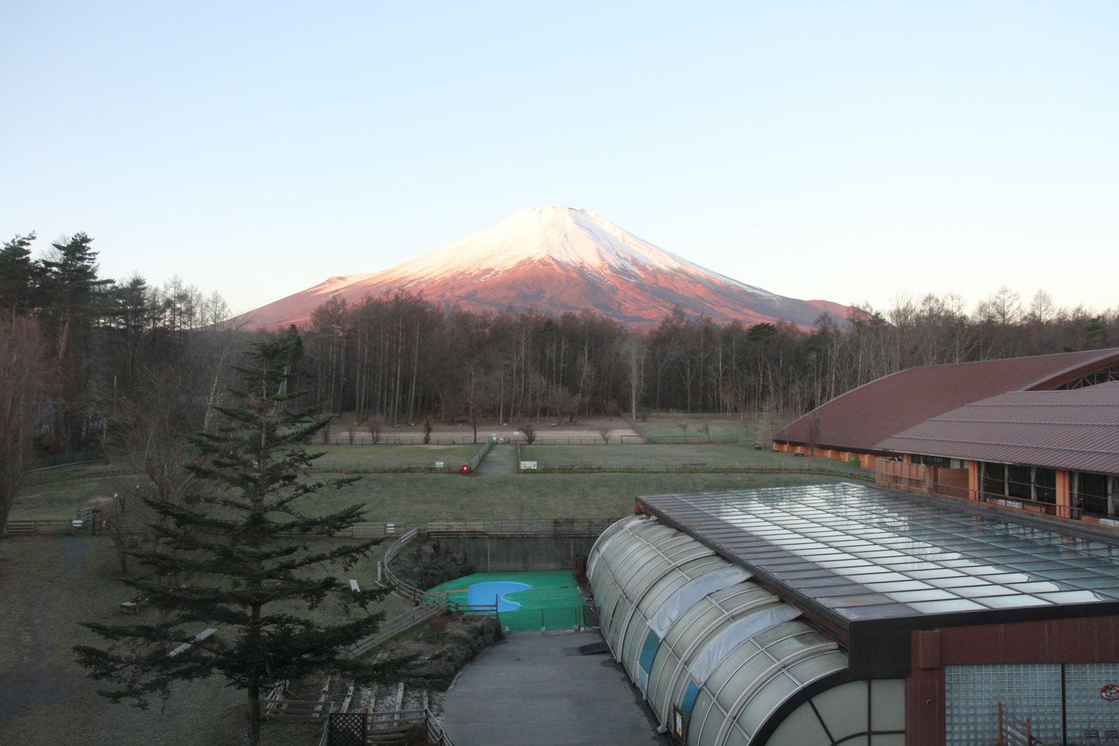 朝の富士山