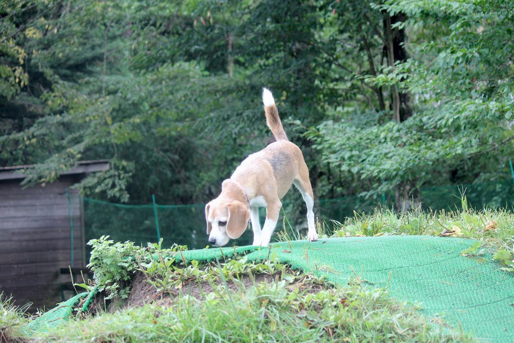 高いところ