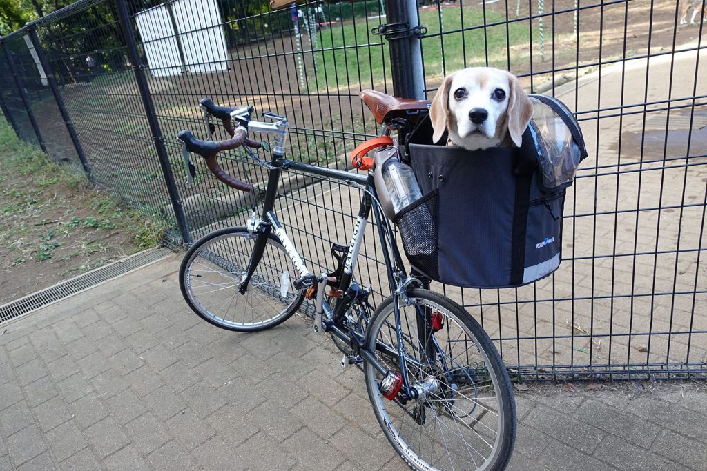 自転車に乗って