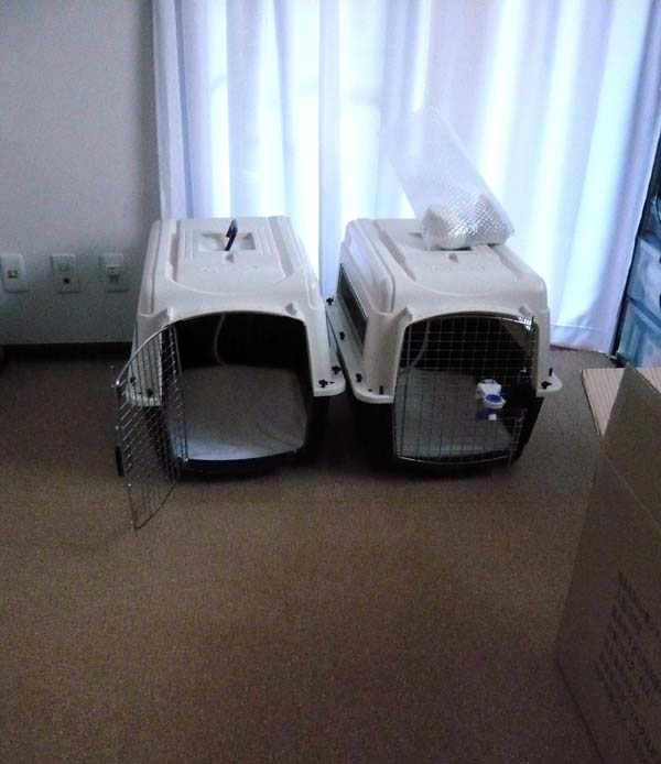 びぃ部屋にコルクマット