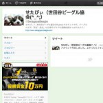 せたびぃのTwitter始めました