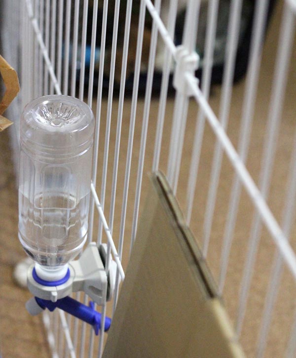 ペットボトル式給水器