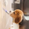 給水器を投入してみる