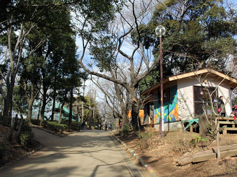 羽根木公園の遊び場の脇