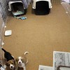トイレの場所