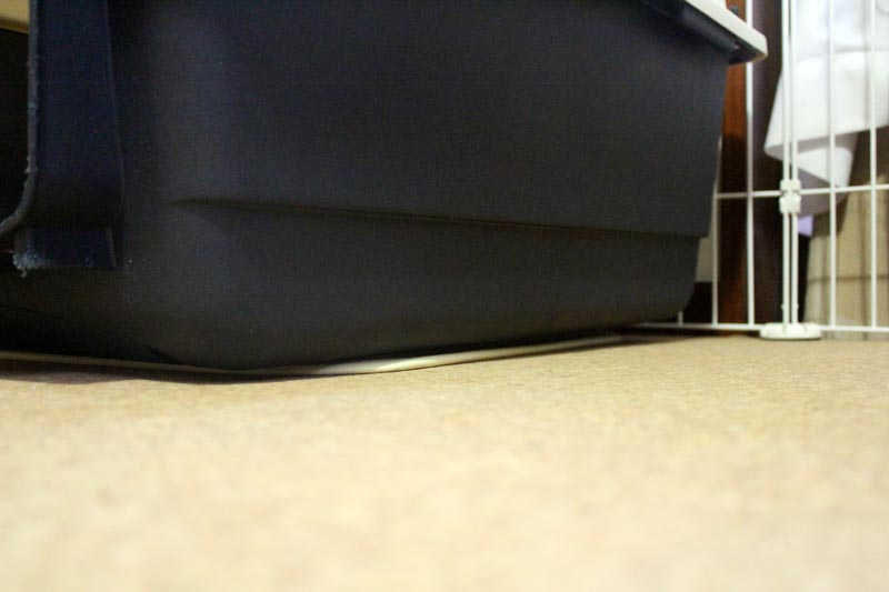 ペットヒーターでバリケンが浮く