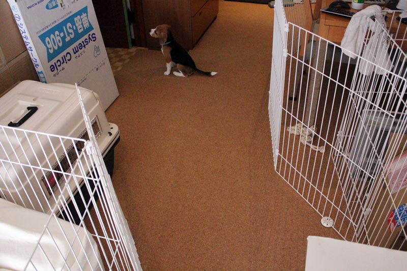 部屋中にサークルを