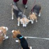 めちゃめじとの遭遇