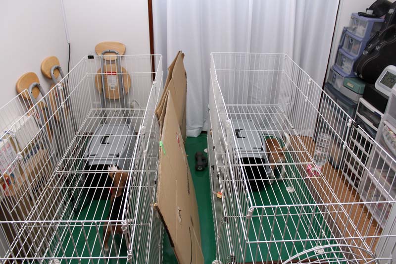 サークルに屋根をつける
