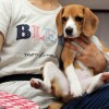 あぢぃ