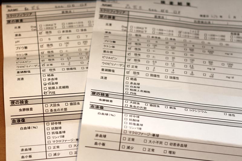 花豆の検査結果