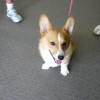 ゆずちゃん