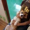 まったり