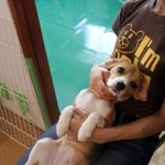 まったり