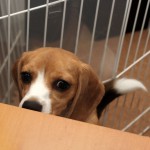 テーブルを死守せよ