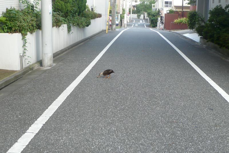 なんか食ってる