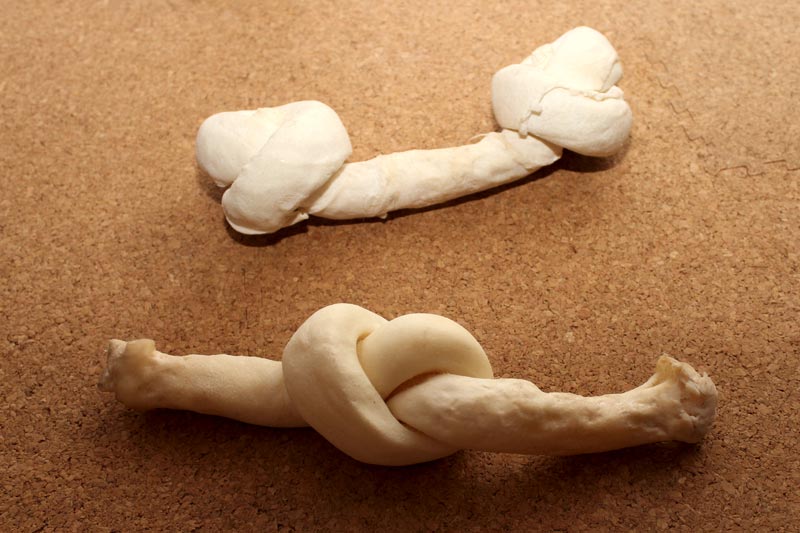 牛革ボーン近影