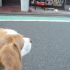 なんか置いてある