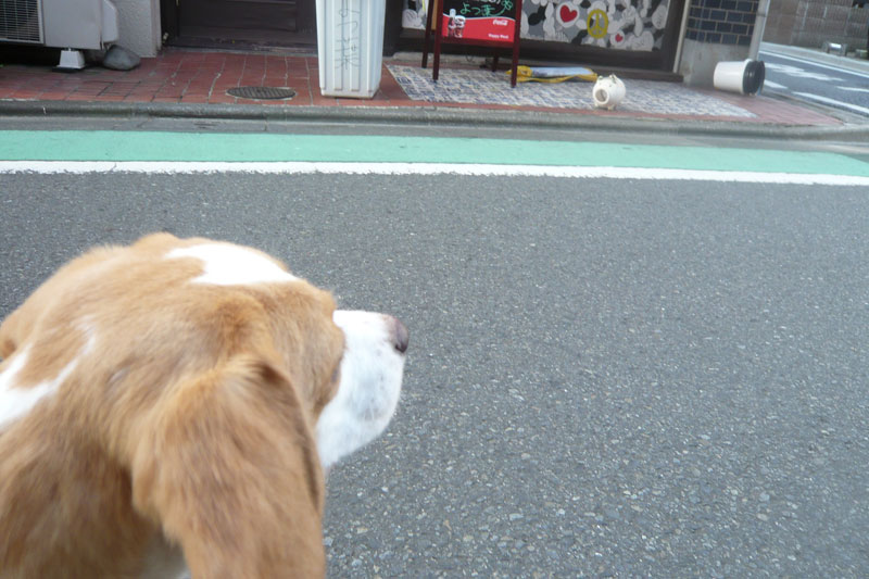 ガン飛ばし合い