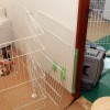 空豆・花豆8ヶ月