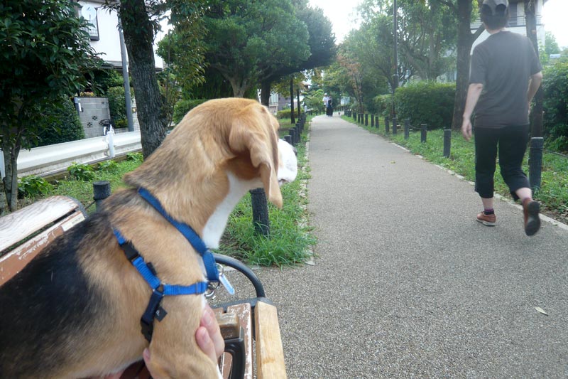すれ違い