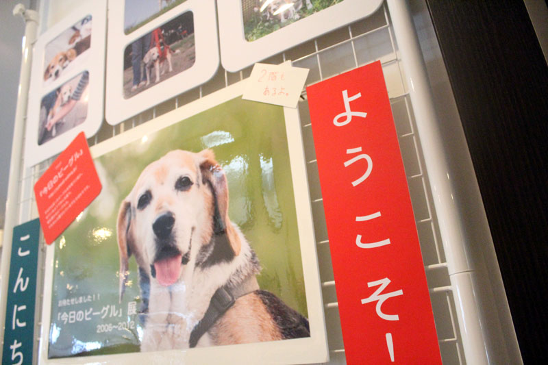 ゆやまさん写真展のウェルカム写真