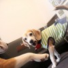 ゆやまさん写真展オフ会（その2）