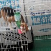 また何やってるんですか空豆さん