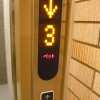 エレベーターのペット専用ボタン