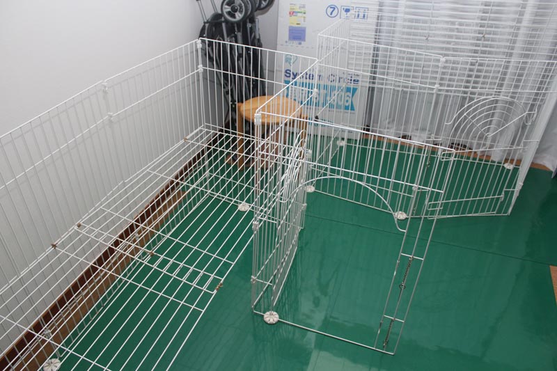 サークルの解体
