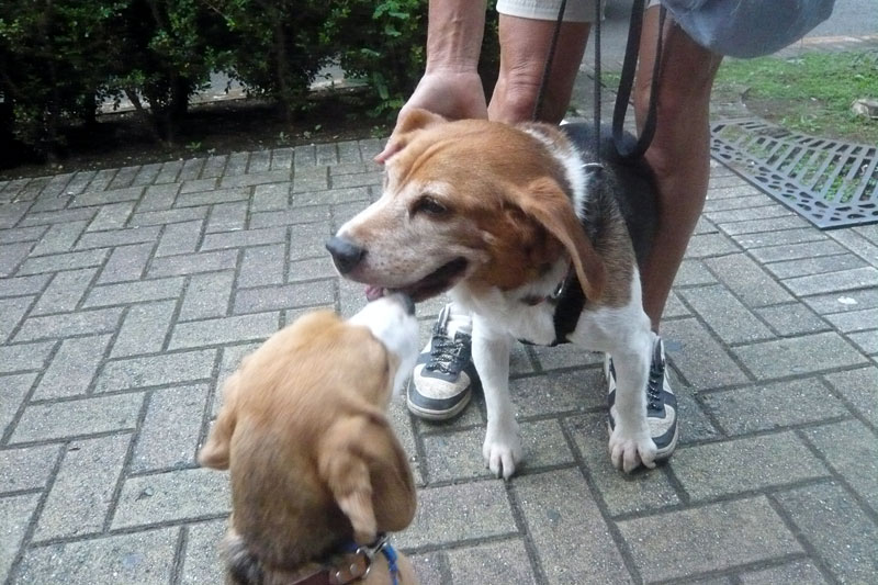 ノンちゃんとご挨拶