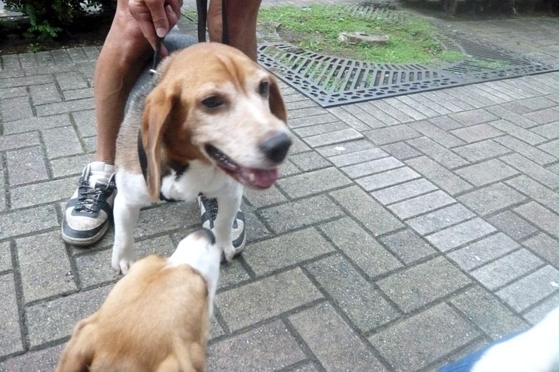 ノンちゃんの笑顔