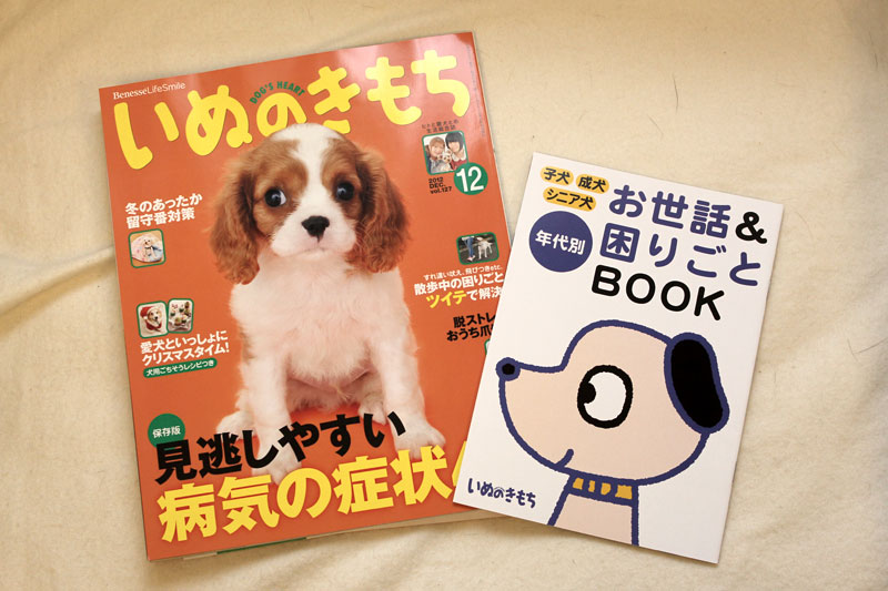 いぬのきもち2012年12月号とふろく