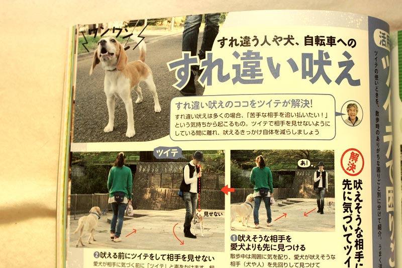 記事に花豆が！