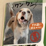 いぬのきもち2012年12月号