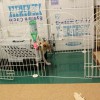 何してはるんですか空豆さん