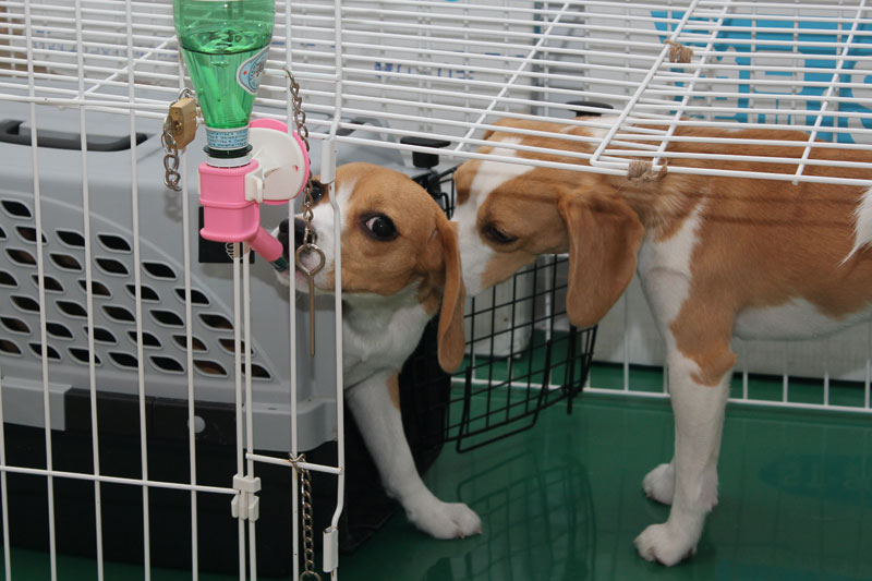 ちょっとちょっと