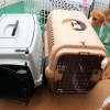 キャンピングキャリーＭブラウン買いました。