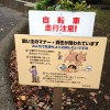 懇切丁寧なタイプ