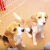 なかよし！（初のコンビ芸）