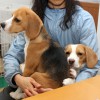 ひざの上
