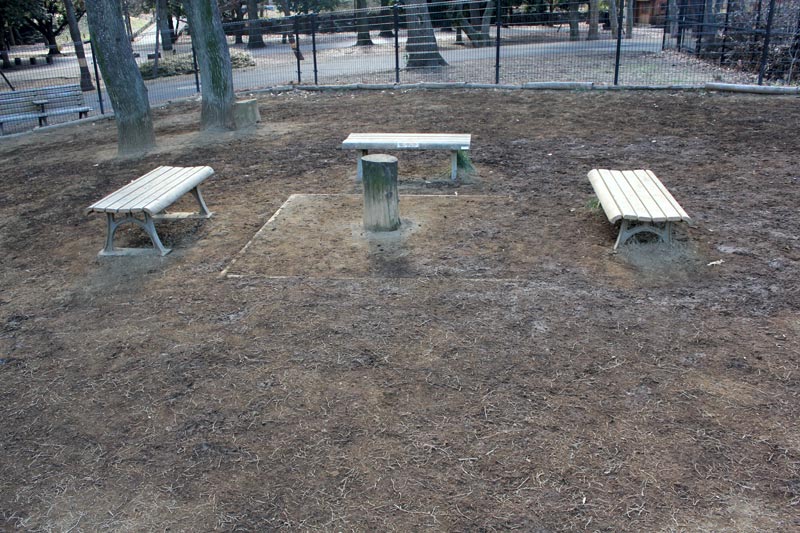 整備された芦花公園ドッグラン