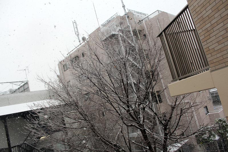 初雪の東京