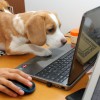 ネットが気になる