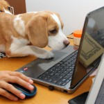 ネットが気になる