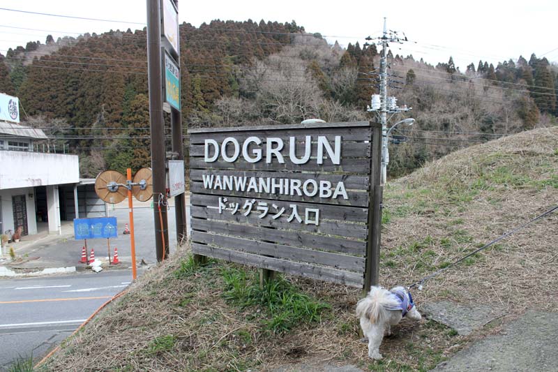 ドッグラン入り口