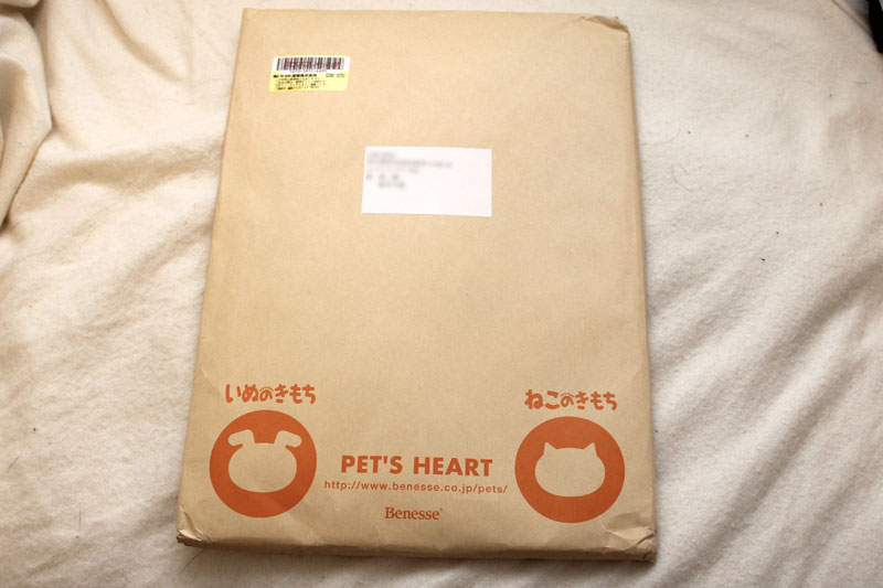届いた封筒