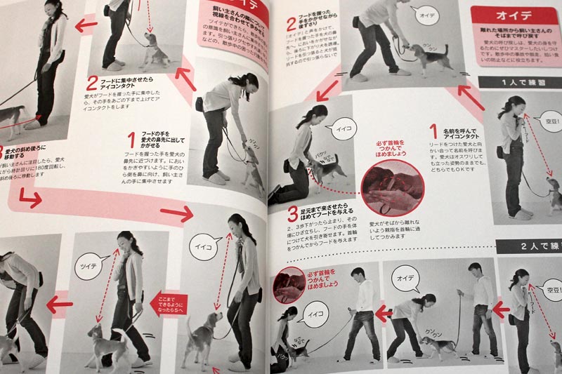 おいでとか