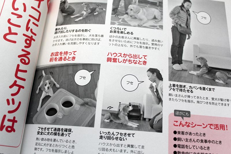 伏せる空花